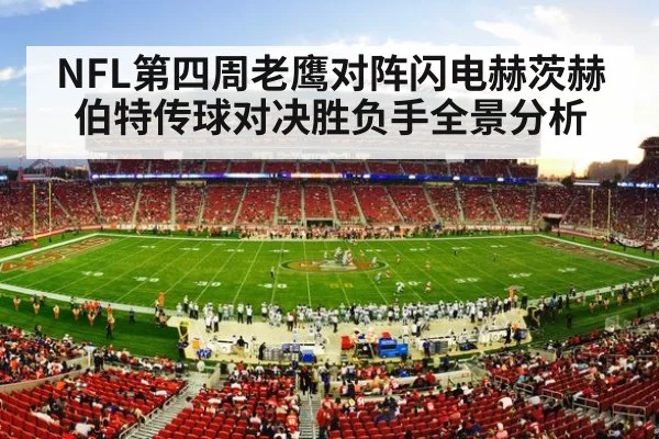 NFL football stadium game