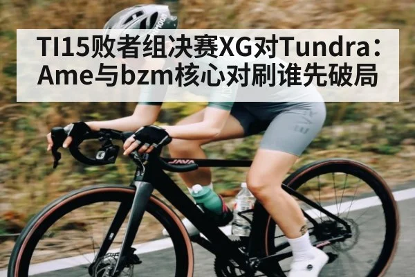 TI15败者组决赛XG对Tundra：Ame与bzm核心对刷谁先破局